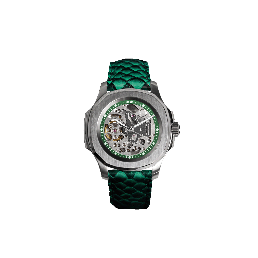 OCTI S V1
